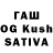 APVP VHQ Gulmira Mashrabova