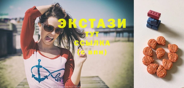 ПСИЛОЦИБИНОВЫЕ ГРИБЫ Арсеньев