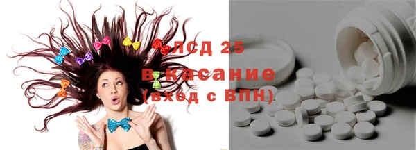ПСИЛОЦИБИНОВЫЕ ГРИБЫ Арсеньев