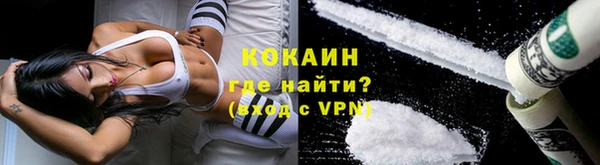 ПСИЛОЦИБИНОВЫЕ ГРИБЫ Арсеньев
